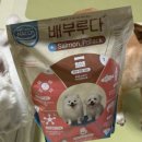 부루펫 이미지