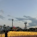 간절곶 소망길 | 울산 간절곶 방문기. 해돋이 명소. 간절곶 빛축제 비밀의 정원 정보. 울산 핫플. 주차 정보.