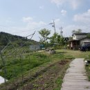 솔마루농장 이미지