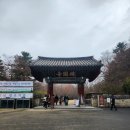 [경주 여행] (2025.03.02) 불국사/석굴암/소향몽/국보31호/대릉한복/도미