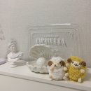 곰하우스 | 광안리 에어비앤비 곰모닝하우스 방문기
