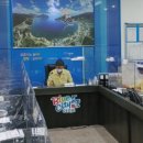 거제-거제-거제-비상-09 이미지