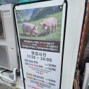 요거프레소 완주과학단지 | 완주 봉동 맛집 남녀노소 모두가 만족하는 무한리필