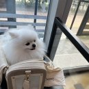 동물에반하다동물병원 이미지