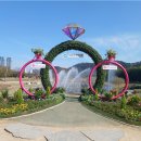 우리가족 정원 만들기 이미지