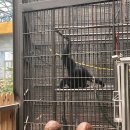 동물원 이미지