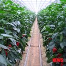 신3리마을회관 이미지