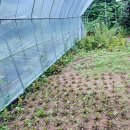 갈비명가 이미지