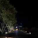 루나폴 | [제주도 가볼만한곳] 야간 놀거리 ‘루나폴’재밌었던 솔직 후기