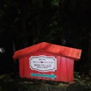 스테이 하하하 이미지