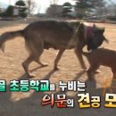 삼장초등학교 이미지