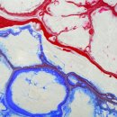 연세백세치과의원 이미지