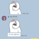 디비자라