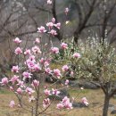 복연농장 이미지