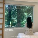 춤추는달 | 서귀포 가성비 숙소 추천 춤추는달 감성적인 화이트톤 숙박 후기