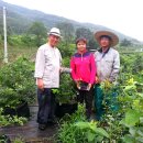 선문농장 이미지