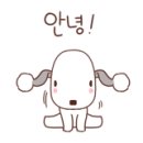 플로라 그루밍독 이미지