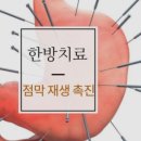 (주)위담 | 식도염 증상 완화와 재발 방지를 모두 잡은 한방치료 전문 관리 후기, 속쓰림과 목 이물감 개선 경험담