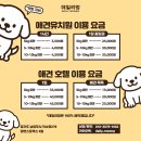 데일리멍 애견유치원, 애견호텔 | 남양주 덕소 애견호텔 &amp; 애견유치원 데일리멍