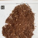 밝음농장 | [루리커피 체험후기] 파나마 알티에리 알레 Natural