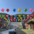 스테이행복 | 청춘 템플스테이 서울 근교 후기 예약 강아지 행복 두배