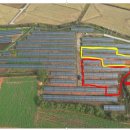 선미태양광발전소 이미지