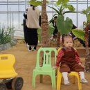 채원농장 | [아기랑 놀러다니기][경기/용인] 무럭무럭 농장 🐰 (+우린탕, 호텔북리)