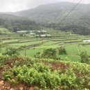 산내면 중황마을 이미지