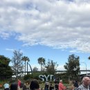 (주)시드니램하우스 | 호주여행 시드니 신혼여행 2일차 후기, 보타닉가든부터 오페라하우스까지 완벽 코스