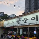 꿀꿀이통돼지왕소금구이 - 달서구 구마로12길 36 | 다사 대실역 꿀꿀이 통돼지 왕소금구이 본점 내돈내산 솔직후기