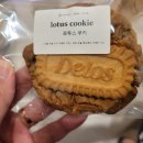 싹쓸이 | [세종 조치원 카페] 오누케이크(Ohnnoo Cake Shop) 우유생딸기케이크부터 쫀득쿠키까지 싹쓸이 후기