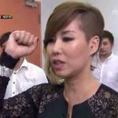 정동진놀자 이미지