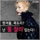 칼라피플 이미지