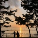 장항오토캠핑장 이미지