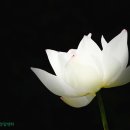 인간심리상담;교육연구소