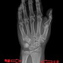 글로리 짐 이미지