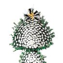 도고면 도고면로 이미지