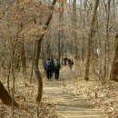 은곡3호 이미지