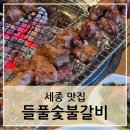 숯불돼지왕갈비 | 세종 들풀숯불갈비 돼지왕갈비 후기