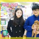 스타멍스 | 부산 강아지분양 후기 (스타멍스)