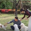 해진농장 이미지