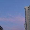 도리포터리