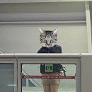 지에스(GS)25 대구역자이점 이미지