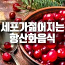 8월 28일 금요일 출석부 이미지