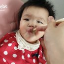 댕이맘마 이미지