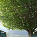 신덕마을 이미지