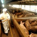 신청봉영농조합법인 이미지