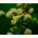 호수공원6로 티스토리