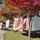 명인세탁 이미지