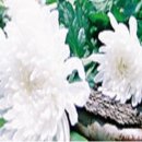 구암동011 이미지